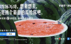 娱乐吃瓜的文案