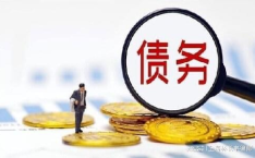 债务律师,债务律师的专业服务与作用解析