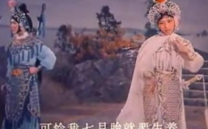 河南豫剧小调,河南豫剧的独特魅力