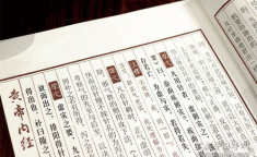 黄帝内经原文txt,中医经典智慧与养生哲学精粹