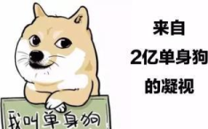 娱乐吃瓜君脱单冷知识,那些你不知道的脱单冷知识
