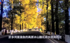 娱乐吃瓜君太阳,太阳不出演我独？韩娱吃瓜君揭秘娱乐圈最新动态