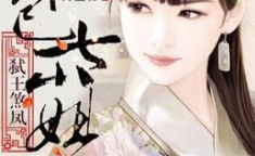 弑王煞凤:草包七小姐,弑王煞凤传奇