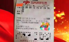 福利彩票双色球开奖公告,大奖花落谁家，奖金几何？”