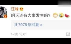 一站式吃瓜视频娱乐圈,揭秘明星幕后故事